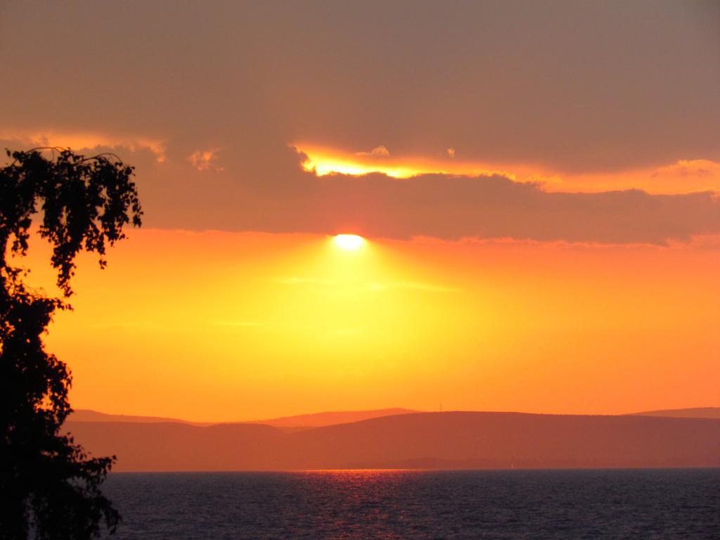 Balaton Wellness Apartman Шиофок Номер фото